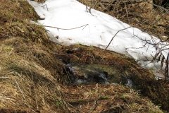 IMG_0052