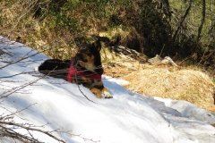 IMG_0057