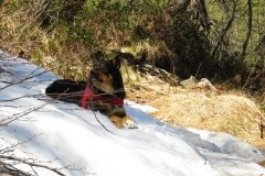 IMG_0059