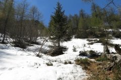 IMG_0063