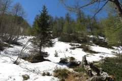 IMG_0065