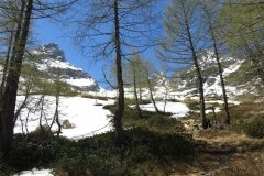 IMG_0069