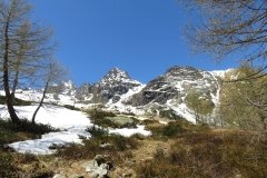 IMG_0071