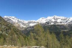 IMG_0072
