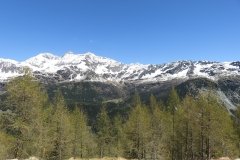 IMG_0075