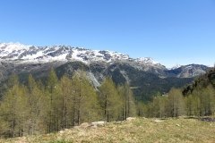 IMG_0077