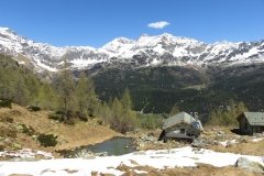 IMG_0079