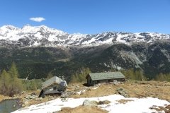 IMG_0081