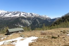 IMG_0087