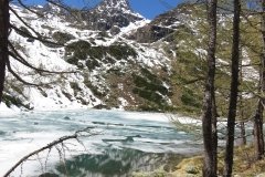 IMG_0089