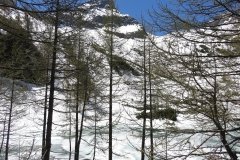 IMG_0092