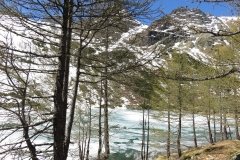 IMG_0093