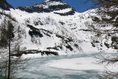 IMG_0101