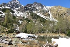 IMG_0104