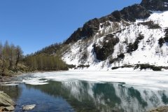 IMG_0113