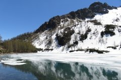 IMG_0118