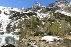IMG_0125