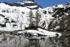 IMG_0130