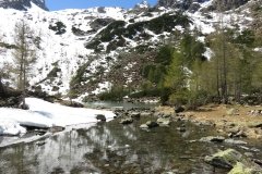 IMG_0133
