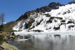 IMG_0141