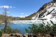 IMG_0147