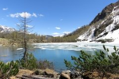 IMG_0148