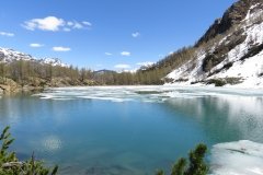 IMG_0153