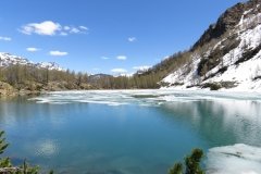 IMG_0154