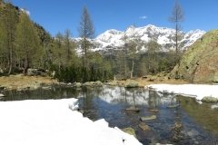 IMG_0167
