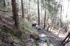 IMG_0190