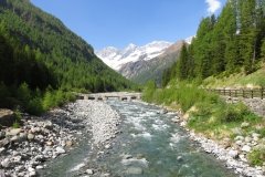 IMG_0009