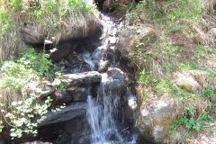IMG_0012
