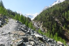 IMG_0021