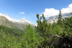 IMG_0036