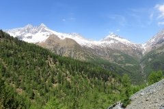 IMG_0040