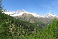 IMG_0044
