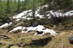 IMG_0056