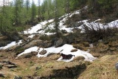 IMG_0059