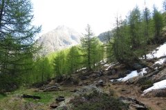 IMG_0060