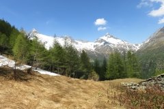 IMG_0068
