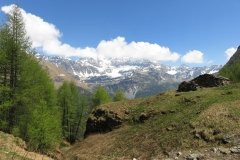 IMG_0069