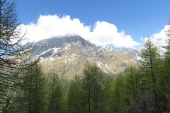 IMG_0080