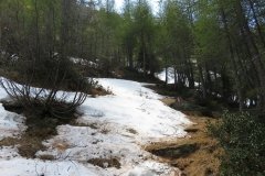 IMG_0082