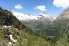 IMG_0085