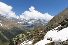 IMG_0090