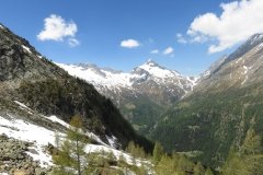 IMG_0092
