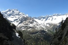 IMG_0123