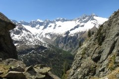 IMG_0139