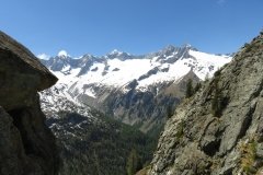 IMG_0155