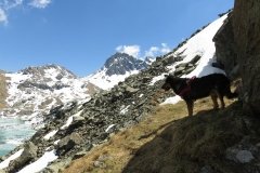 IMG_0167